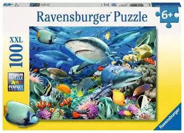 Shark Reef 100 pc