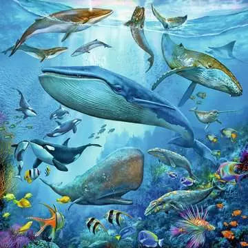 Ocean Life 3x49 Pc Puzzle