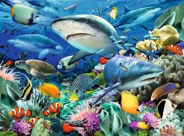 Shark Reef 100 pc