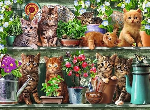 Cats on the Shelf 500pc